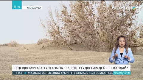 Арал аумағында 2025 жылға дейін 1,1 миллион гектар жерге сексеуіл егіледі