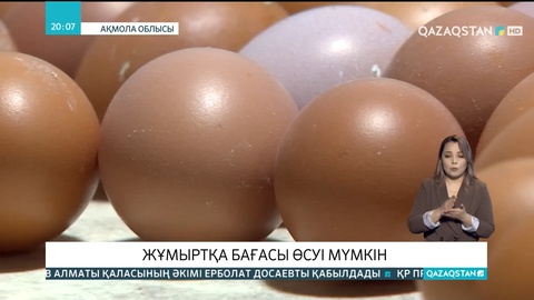 Елде жұмыртқа бағасы өсуі мүмкін