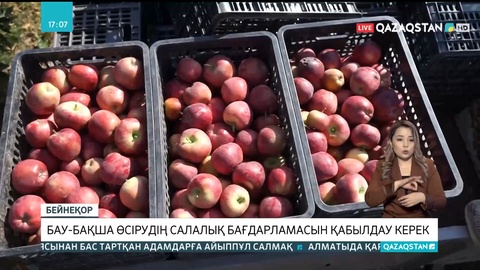 Әли Бектаев: Еліміздегі бау-бақша дақылдарының өнімділігі өте төмен