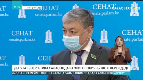 Депутат энергетика саласындағы олигополияны жою керек деді