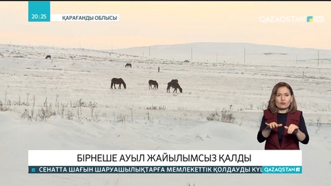 Қарағанды облысында бірнеше ауыл жайылымсыз қалды