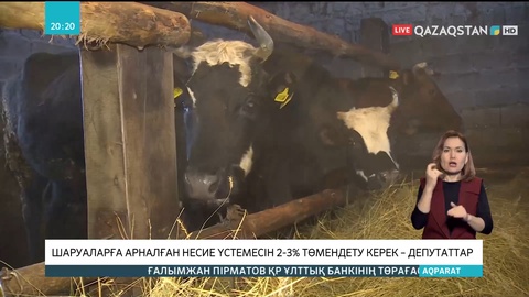 Сенатор Әбдәлі Нұралиев шаруаларға арналған несиенің үстемесін 2-3 пайызға төмендетуді ұсынды