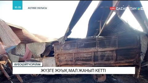 Ақтөбе облысында 100-ге жуық мал жанып кетті
