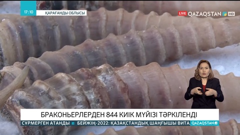 Қарағандыда браконьерлерден 844 киік мүйізі тәркіленді