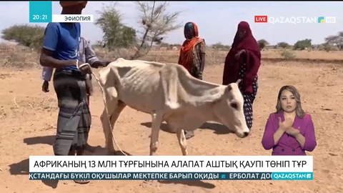 Африканың 13 млн тұрғынына алапат аштық қаупі төніп тұр