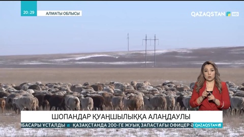 Алматы облысында шопандар қуаңшылыққа алаңдаулы