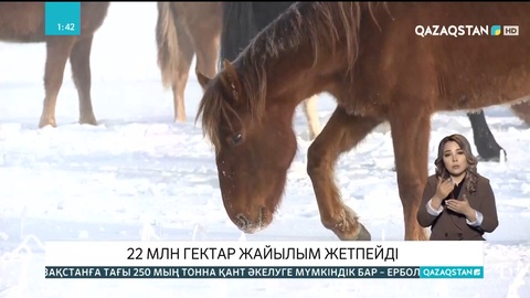 184 млн гектар жайылымнан шаруаларға тек 21 млн гектары тиіп отыр
