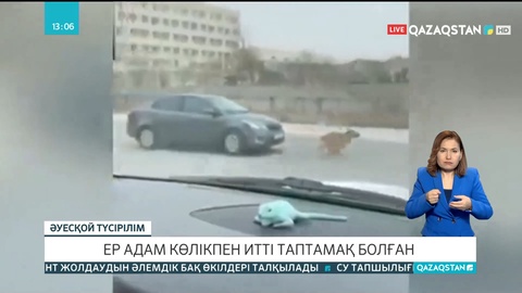 Ақтауда ер адам көшеде жүрген итті көлігімен таптамақ болған