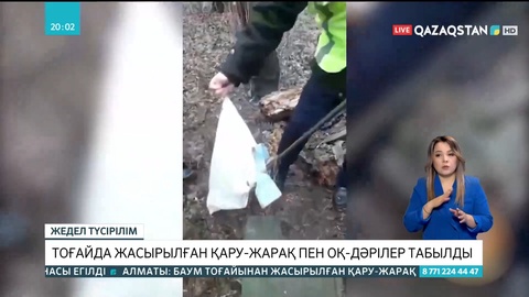 Алматыда тоғайда жасырылған қару-жарақ пен оқ-дәрілер табылды