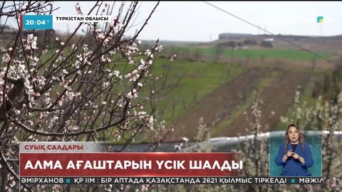 Биыл Қазақстанда алма өнімі азаюы мүмкін
