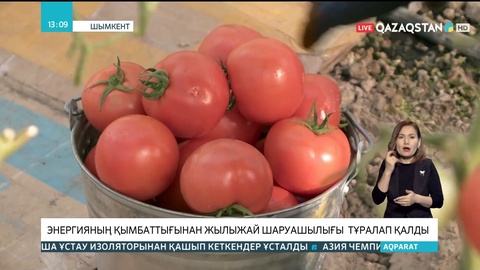 Оңтүстікте энергияның қымбаттығынан жылыжай шаруашылығы тұралап қалды