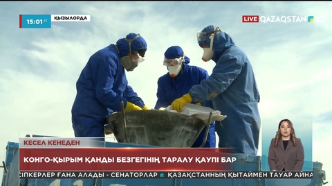Қызылорда облысының 116 елдімекенінде Конго-Қырым қанды безгегінің таралу қаупі бар