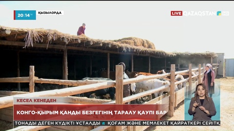 Қызылорда облысының 116 елдімекенінде Конго-Қырым қанды безгегінің таралу қаупі бар