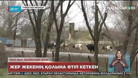 Соңғы 2 жылда 8 млн гектардай жер пайдаланылмай бос жатқан