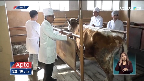 Су тасқынынан қырылған мал сақтандырылмаған болса, оның құнын үкімет төлемейді