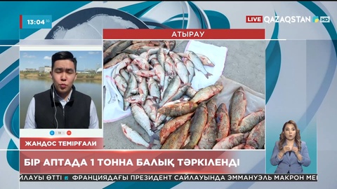 Атырауда браконьерлерден 1 тоннаға жуық балық тәркіленді