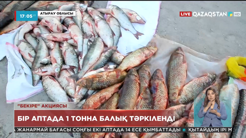 Атырауда 1 тонна балық тәркіленді