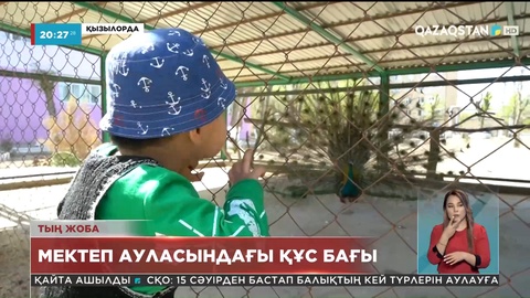 Қызылордада Нағи Ілиясов атындағы мектеп-гимназиясының ауласы ғажайып құс бағына айналған