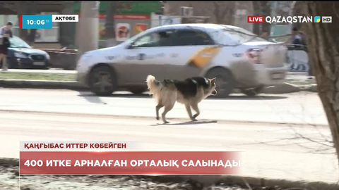 Ақтөбеде 400 итке арналған орталық салынады