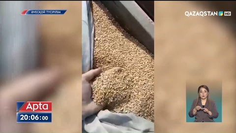 Елімізде екінші жыл қатарынан астық шықпай қалуы мүмкін