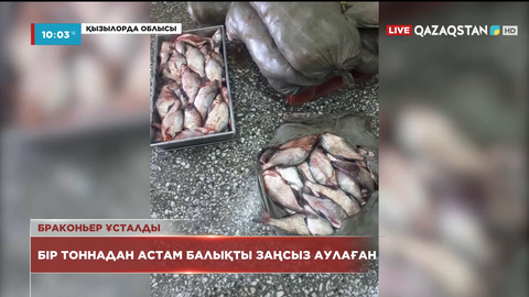 Арал ауданында бір тоннадан астам балық заңсыз ауланған