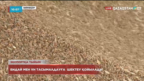 Қазақстан бидай мен ұн экспортына шектеу енгізеді