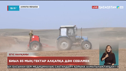 Алакөл ауданында биыл 85 мың гектар алқапқа дән себілмек