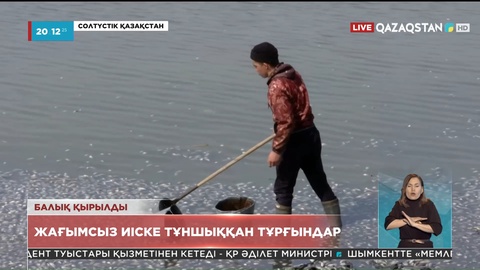 Солтүстік Қазақстанның Қызылжар ауданы Бугровое ауылында балық қырылып жатыр