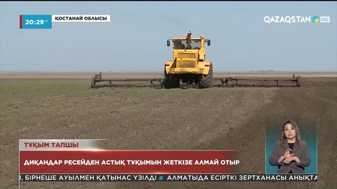 Диқандар Ресейден астық тұқымын жеткізе алмай отыр