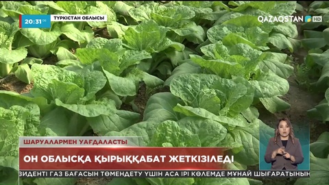 Түркістан облысының диқандары еккен өнімдерін алыс жаққа саудалап, әлекке түспейтін болды