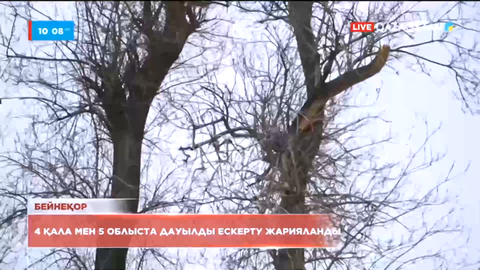Елімізде 4 қала мен 5 облыста дауылды ескерту жарияланды