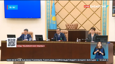 Мүгедектерге арналған стационарды қолайлы ортаға алмастыру қажет - сенаторлар