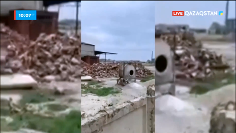 Талғарда зауыт маңында мал жемтігі шашылып жатыр