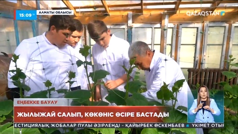 Алматы облысында колледж студенттері мен ұстаздары жылыжай салып, көкөніс өсіруге кірісті