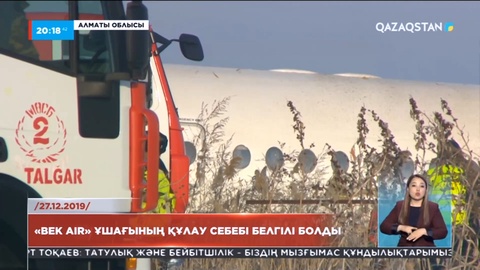 «Bek Air» ұшағының құлау себебі белгілі болды