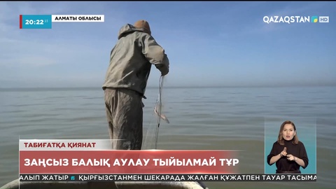 Алматы облысында заңсыз балық аулау тыйылмай тұр