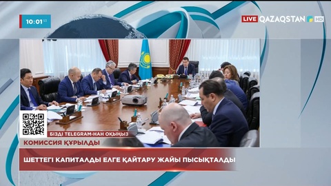 Әлихан Смайылов шетелдегі капиталды елге қайтару мәселелерін талқыға салды