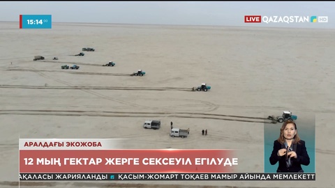 Арал теңізінің құрғаған табанына сексеуіл егу жұмыстары басталды