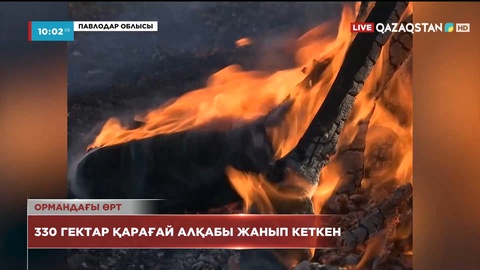 Павлодар облысы аумағындағы 330 гектар қарағай алқабы жанып кеткен