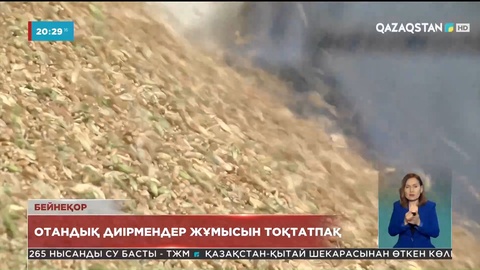 Қазақстан нарығына Ресей мен Өзбекстаннан арзан ұн кіріп жатыр