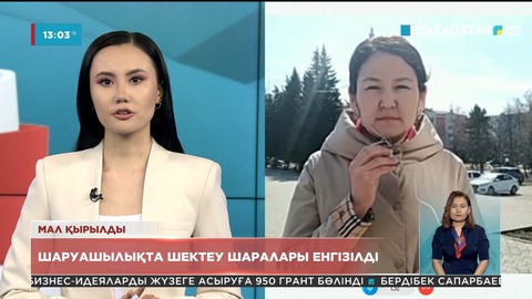 Солтүстік Қазақстан облысында мал қырылып жатыр
