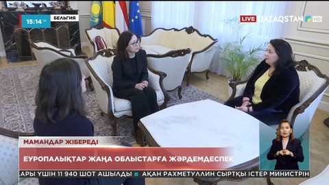 Мүмкіндігі шектеулі жандардың қоғамға бейімделуі: ЕО мамандары озық тәжірибелерімен бөліседі