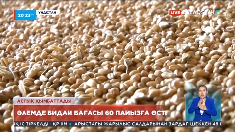 Әлемде бидай бағасы 60 пайызға өсті