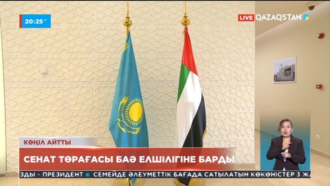 Сенат төрағасы БАӘ елшісіне көңіл айтты