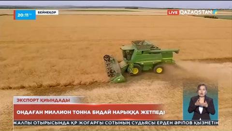 Ресей әскерінің Украинаға басып кіруінен әлемде алдағы айларда азық-түлік дағдарысы болуы мүмкін