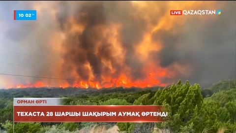 Орман өрті: Техаста 28 шаршы шақырым аумақ өртенді