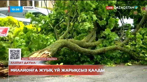 Канадада алапат дауыл соғып, миллионға жуық үй жарықсыз қалды