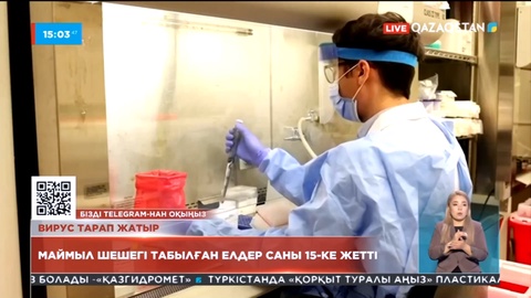 Әлемде маймыл шешегі табылған елдер саны 15-ке жетті