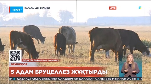 Қарағанды облысында 5 адам бруцеллез жұқтырған