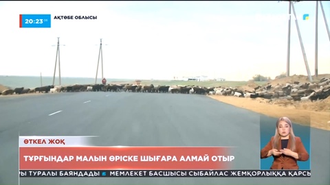 Ақтөбе облысы Қарауылкелді аулының тұрғындары малдарын өріске шығара алмай отыр